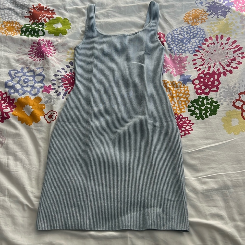 Aritzia Scupt Knit Dress